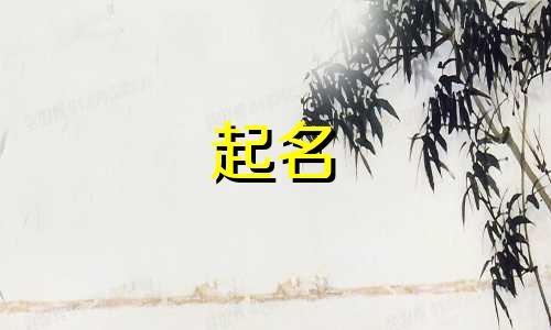 小规模公司起名后缀有哪些