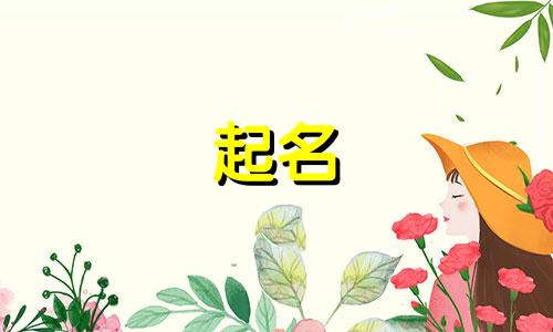 仓鼠起名搞笑的名字有哪些