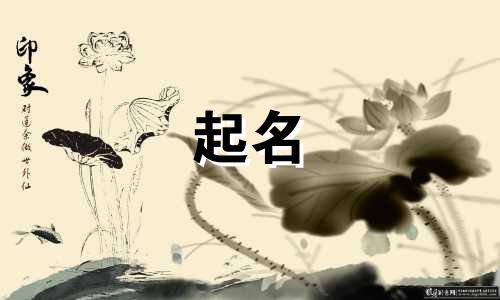 生意起名的好字有哪些好听