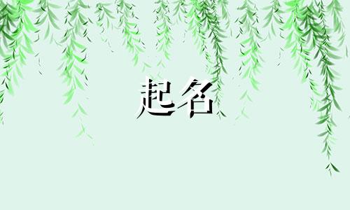 饮料起名谐音梗有哪些好听