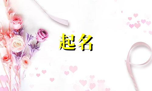 女子起名古诗有哪些字