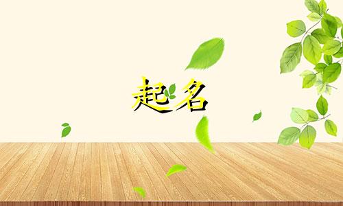 兔宝宝起名木字旁有哪些