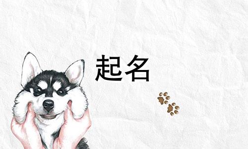 虎年哪些字起名吉利好听