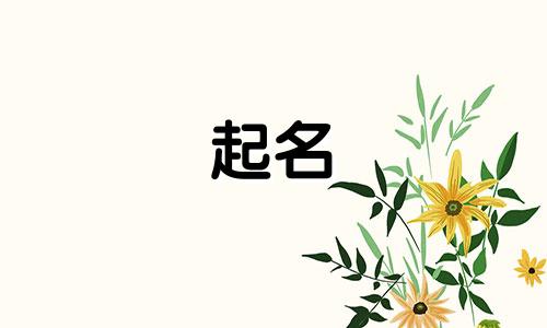 手机品牌的奇葩起名有哪些