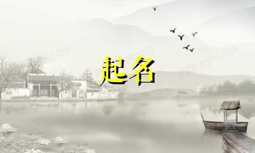 适合英文起名的花有哪些