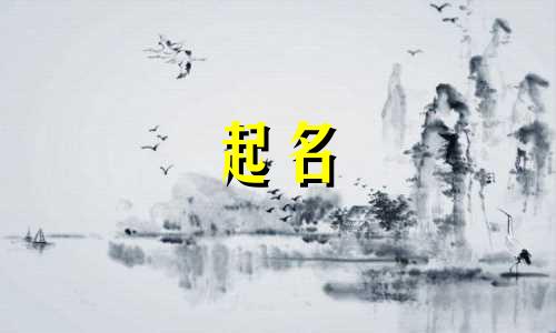 谐音起名的账号有哪些名字