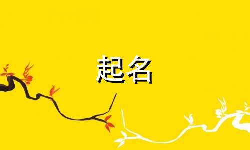 许昌起名公司有哪些地方