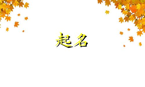 狗年宝宝起名带哪些偏旁好