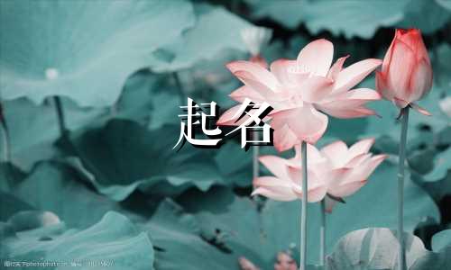 公司起名以盛开头有哪些