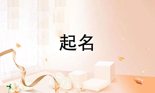 王者起名纯数字软件有哪些