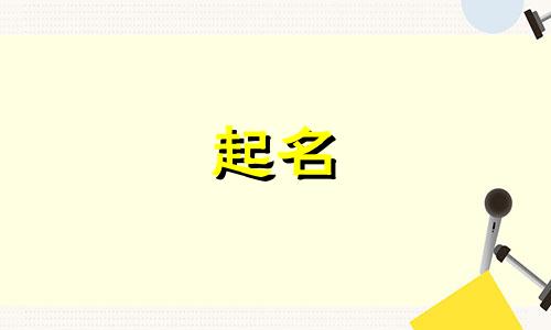 起名免费神器有哪些名字