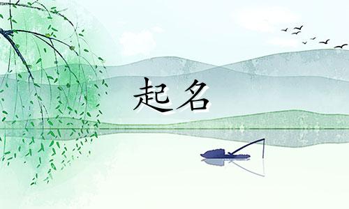 给人物起名软件有哪些好用