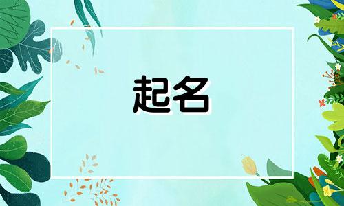 四子词语可起名有哪些