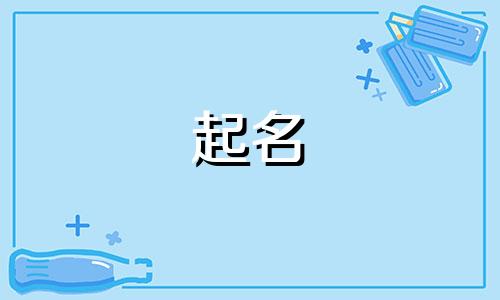 公兔子起名能起哪些名字