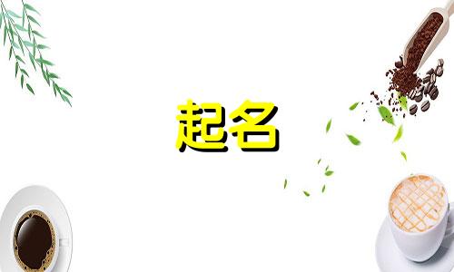 比熊随机起名软件有哪些