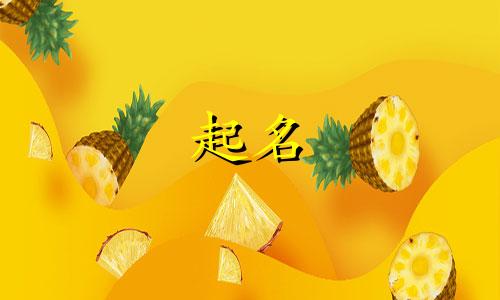 起名字哪些趣事好记的