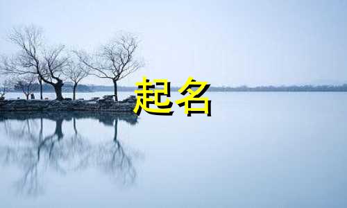 新疆明星起名字有哪些