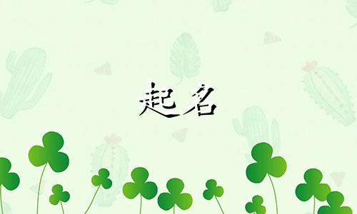 拉丁人起名方式有哪些