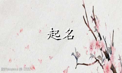 店铺起名公众号有哪些