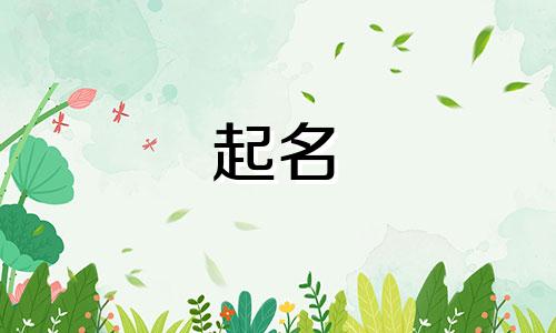 起名需要用到哪些要素