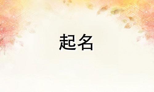 姓名可以用哪些字起名