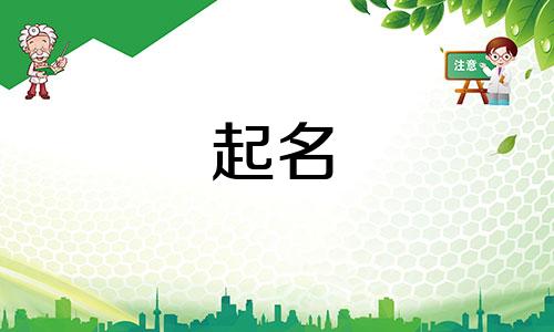 公司起名的选择有哪些类型