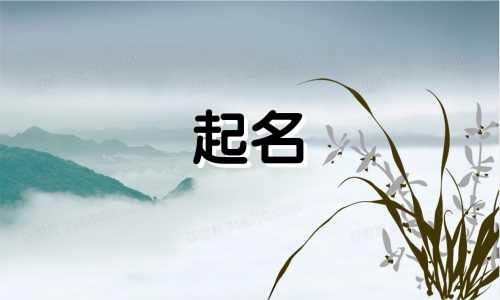 小公会起名前缀有哪些字