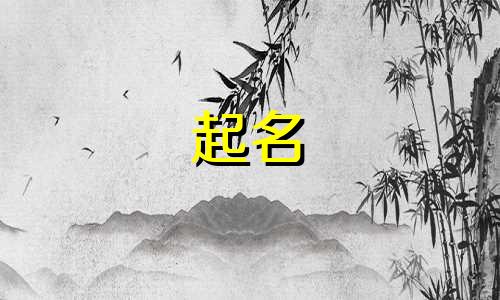 柳州算命起名的地方有哪些