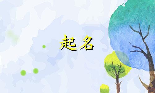 起名字可以参考哪些书写