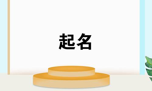 有哪些可以起名的软件好用