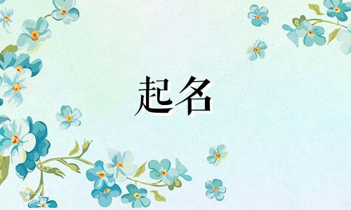 起名不用忌的有哪些字