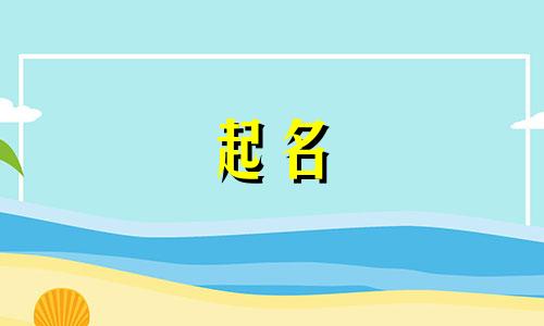 用猫咪起名食物有哪些