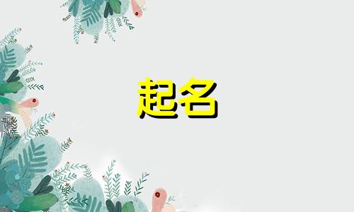 美团起名的技巧有哪些