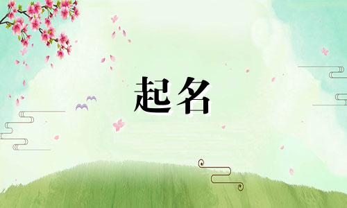 起名苑的楼房有哪些楼层