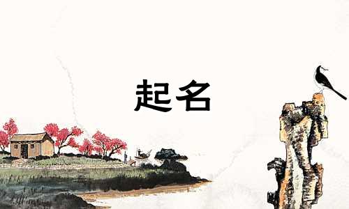 起名改运套路有哪些方法