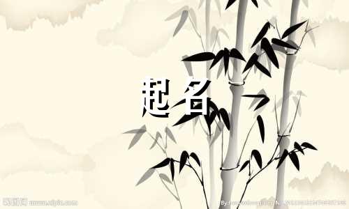 鹦鹉起名祸害的原因有哪些