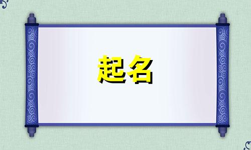 猫咪起名思念的名字有哪些