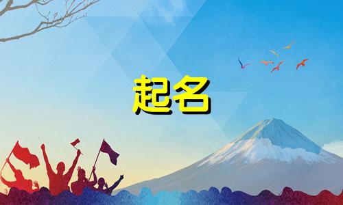 比较客观的起名软件有哪些