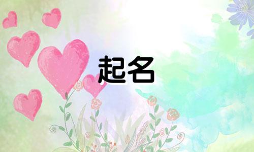 新疆的饭店起名有哪些名字