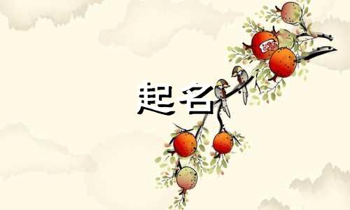 新疆食品好品牌起名有哪些