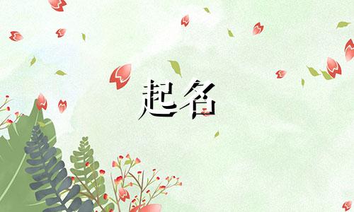 科技公司起名大师名字有哪些