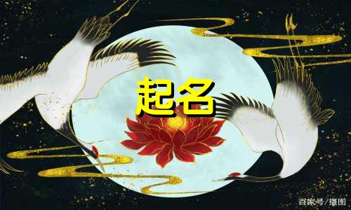 不会起名的栗子品种有哪些