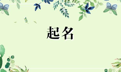 免费起名破译版软件有哪些