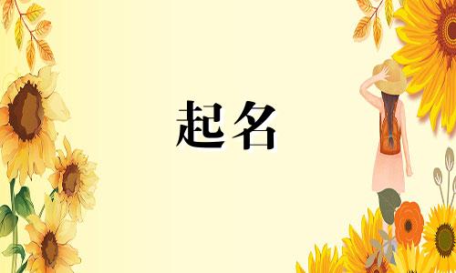 兔年起名组合词有哪些好听