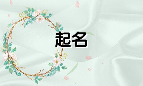 给人起名的素材有哪些名字