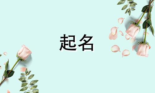 公司起名的行业有哪些名字