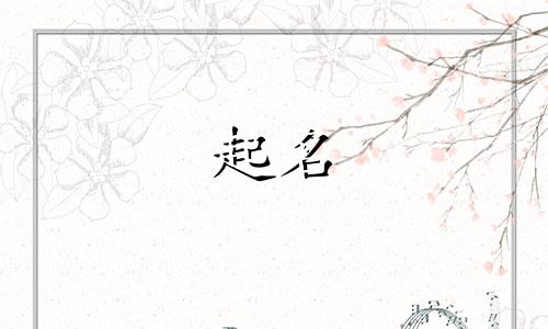 公司起名哪些字不能用英文