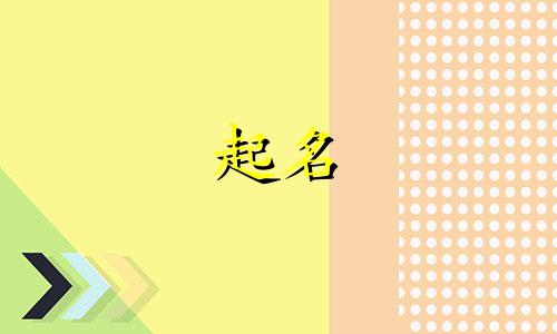 哪些字适合给猫名字起名