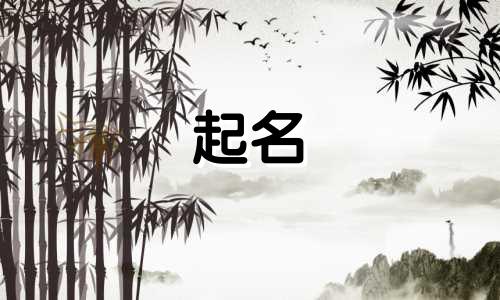 随便起名的明星名字有哪些