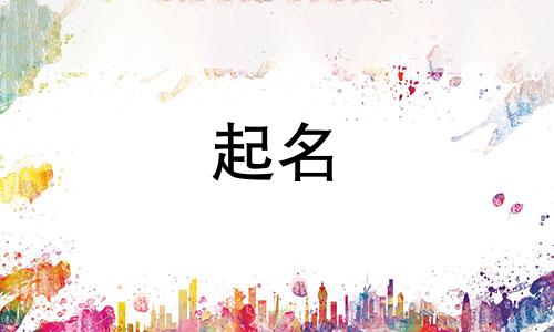 起名打分最准的网站有哪些